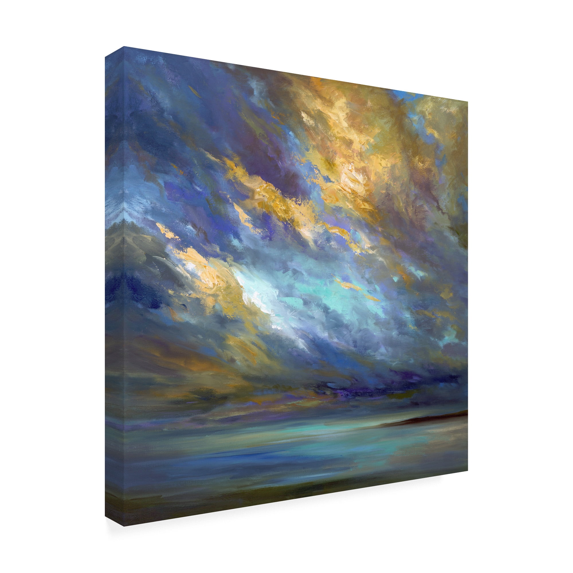 Trademark Fine Art 'Coastal Clouds 30' Canvas Art by Sheila Finch