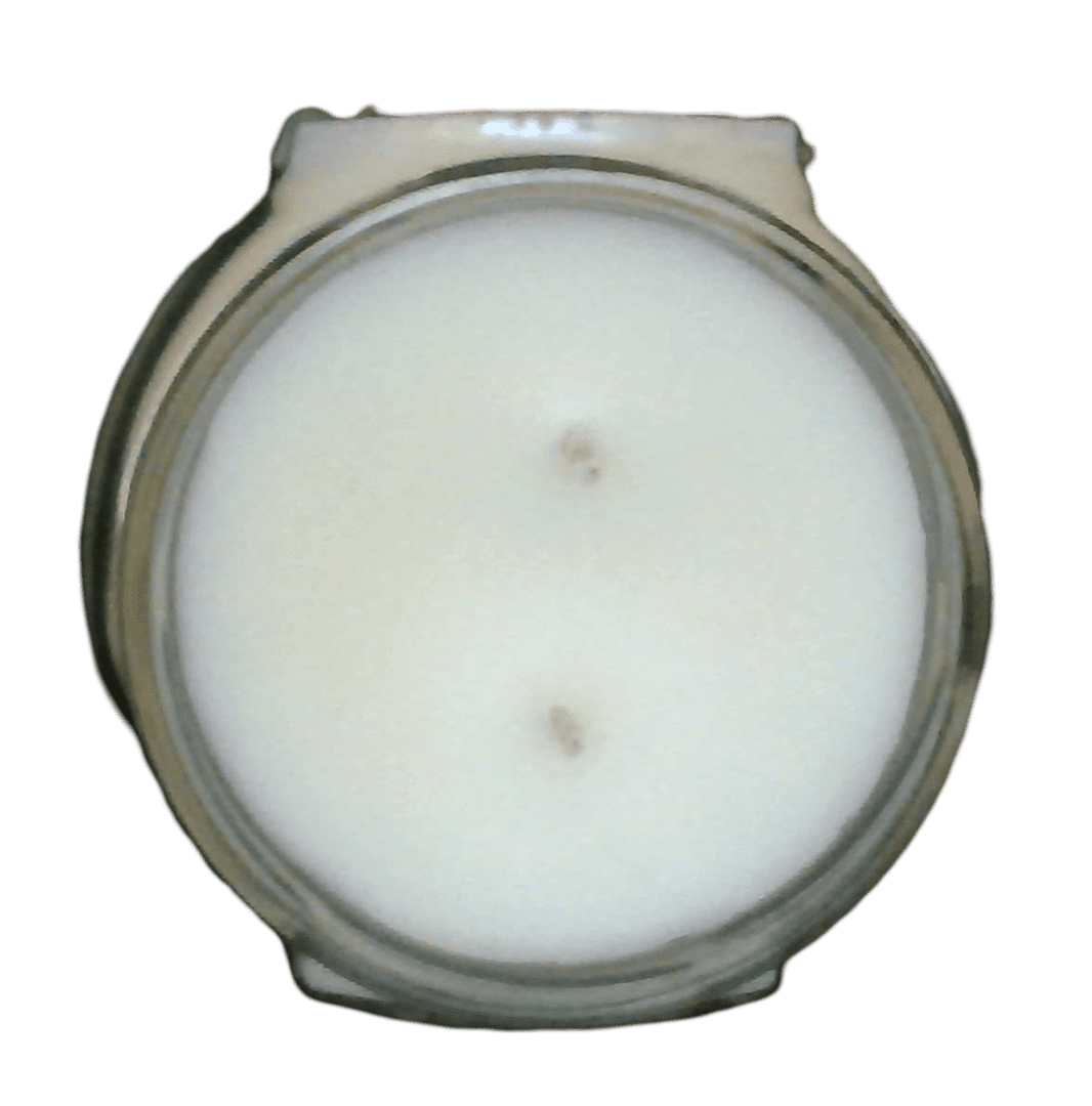 Tyler Candle Company - French Market - 11oz jar candle - with Tyler matches