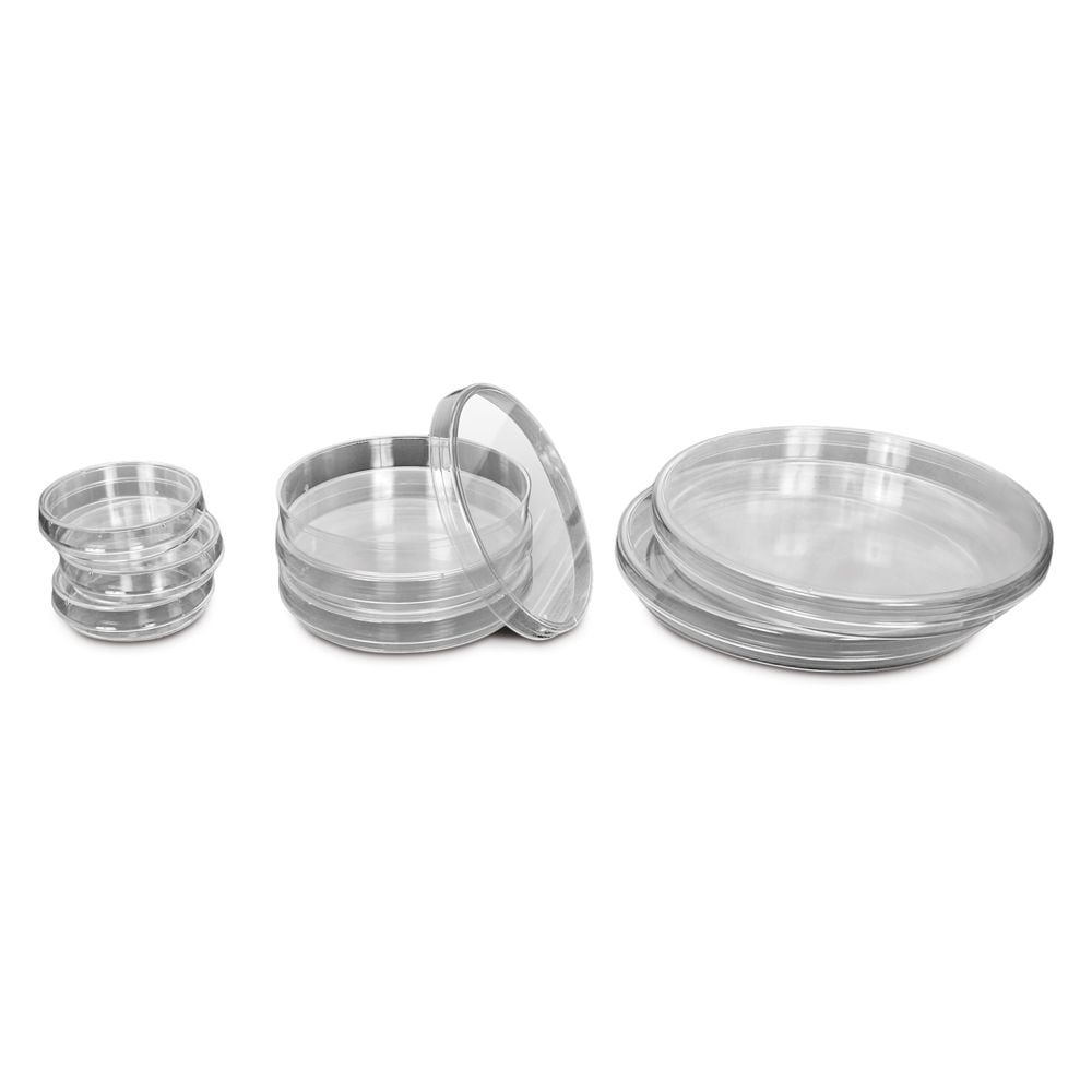 35mm x 10mm Sterile Plastic Petri Dishes with Lid for LB Plate Yeast Transparent color LilyJudy 10 pcs