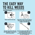 thumbnail image 6 of Roundup Dual Action 365 Weed & Grass Killer Plus 12 Month Preventer with Comfort Wand, 1 gal., 6 of 13
