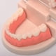 thumbnail image 3 of Children's Early Education Educational Toys, Dental Tooth Model Teaching Model Denture Model Oral Equipment Material Dental Tools (1 Pack), 3 of 5