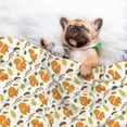 thumbnail image 3 of Yiaed Squirrel Eating Nuts Print Dog Blankets-Cat Blanket Washable for Couch Protection,Puppy Blanket, Soft Plush Reversible Throw Furniture Protector-Medium, 3 of 8
