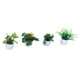 thumbnail image 1 of Juego de plantas en macetas ANGGREK de Mini simulación duraderas para oficina y hogar, 1 of 8