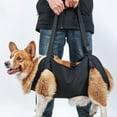 thumbnail image 6 of Dog Lift Harness for Large Dogs Sling for Whole Body Dog Legs Support Carriers Harness for Elderly Injured Disabled Dogs, 6 of 16