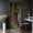 Color 3, variant on Door Stickers Peel and Stick Door Mural Calendar Antiquities History Removable Wallpaper 30.3''x78.7'' Self-Adhesive Mural for Kitchen Living Room Bedroom Decor