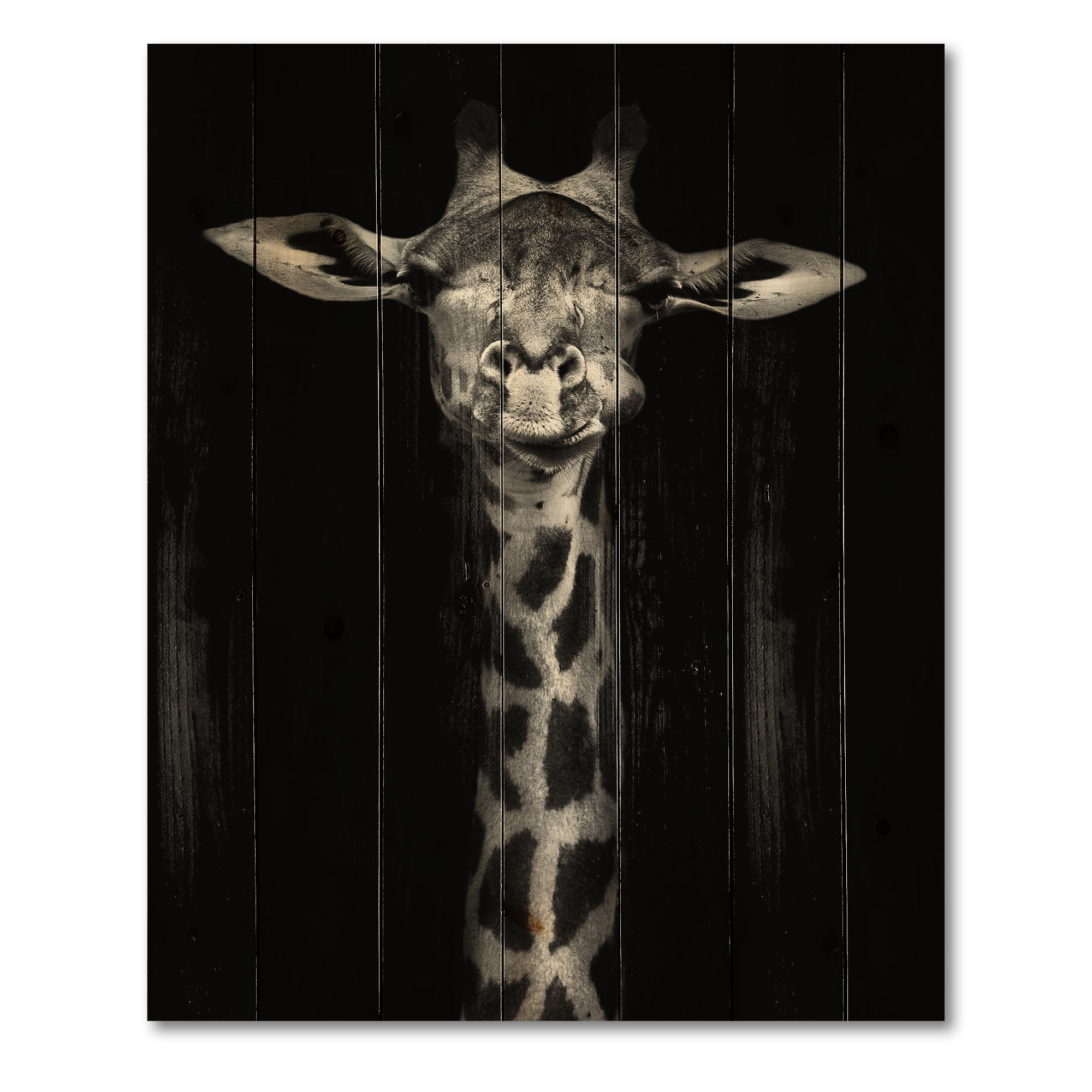 Designart 'Portrait Of A Giraffe In Monochrome' Farmhouse Print on Natural Pine Wood