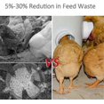 thumbnail image 4 of Anti-Perching Chicken Trough Feeder, 4 of 4