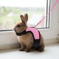 thumbnail image 1 of OULII 3Sets Hamster Harness Leash for Photography Size Mesh Cloth Grey, 1 of 8