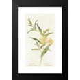 thumbnail image 2 of Margaret Armstrong 15x24 Black Modern Framed Museum Art Print Titled - Bush Monkey Flower (1915), 2 of 5