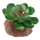 thumbnail image 5 of El adorno de plantas suculentas de terrario de reptiles tus una 3 Gloria Adorno de acuario, 5 of 7