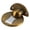 style 5, variant on Floor Mount Door Stopper - Invisible Door Stop, Door Stops Wall Prop Hold Open Doorstop, with 3M Adhesive No Drilling, for Home Office Bedroom Door Stop