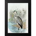 thumbnail image 2 of unknown 11x14 Black Modern Framed Museum Art Print Titled - Oversize Common Heron, 2 of 5