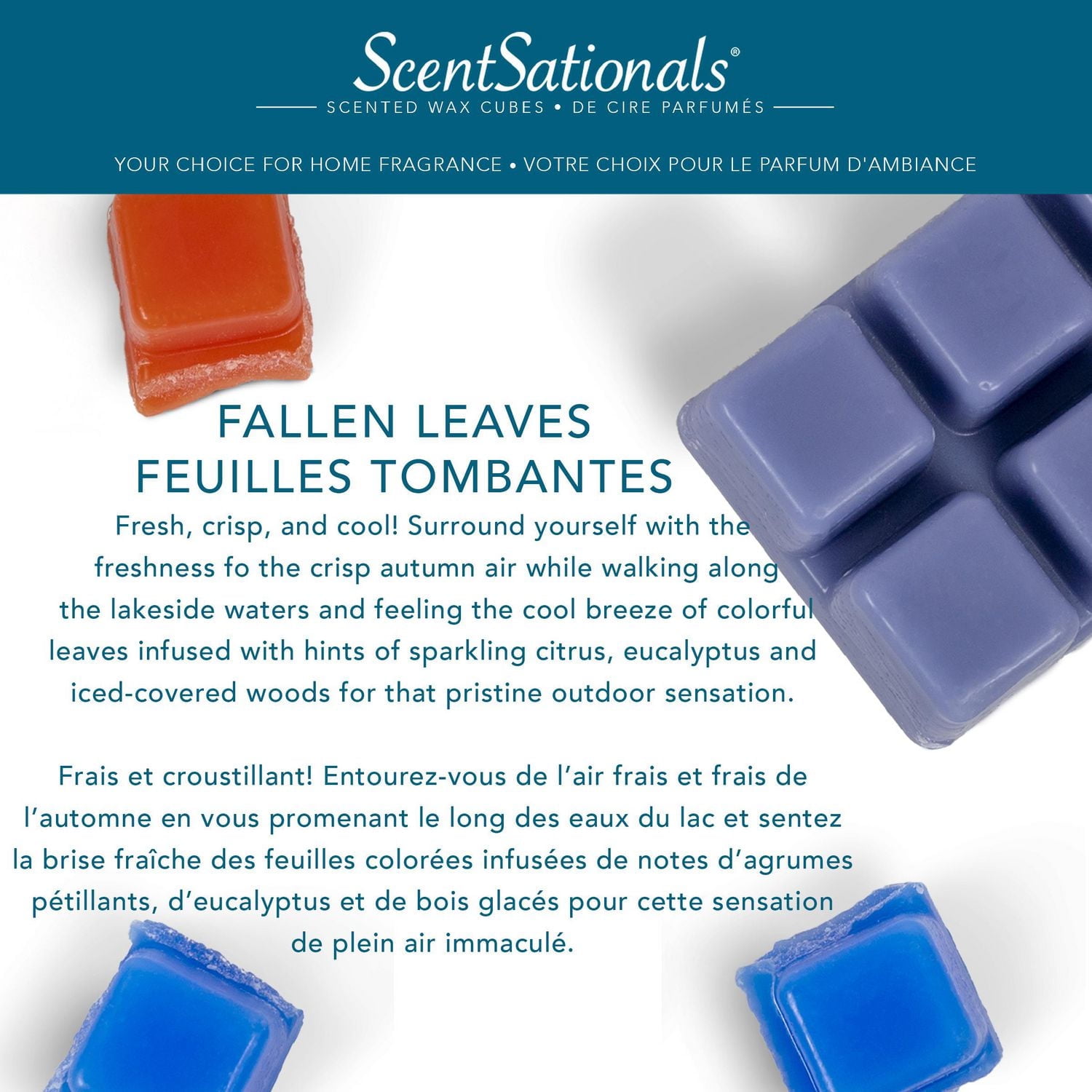 Cubes de cire parfumée ScentSationals - Feuilles Tombant 2,5 fois (70,9 g)