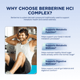 thumbnail image 3 of Pelican Berberine HCl Complex – Advanced Metabolic Support Formula – 60 Capsules, 3 of 6