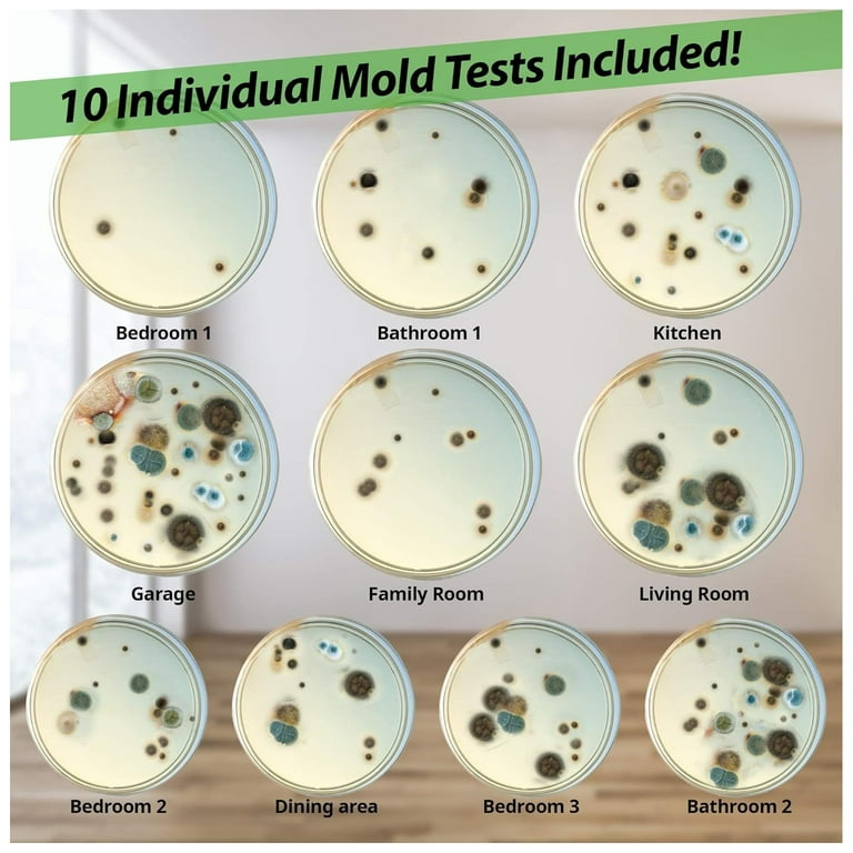 Evviva Sciences Mold Test Kit for Home - 10 Simple Detection Tests - Optional Lab Analysis - Test HVAC System, Room Air, & Home Surfaces - Includes