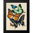 thumbnail image 2 of Barnes, Victoria 15x18 Black Modern Framed Museum Art Print Titled - Collaged Butterflies I, 2 of 5