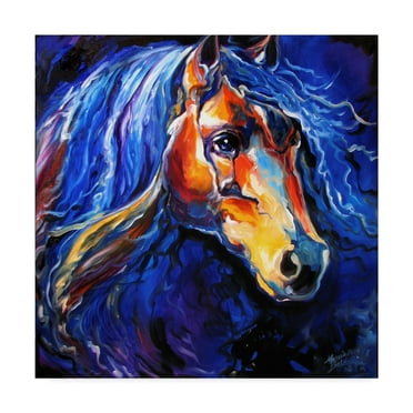 Trademark Fine Art 'Friesian Night' Canvas Art by Marcia Baldwin