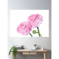 thumbnail image 2 of Ranunculus Poster Wall Art, Modern Wall Decor For Living Room Bedroom, 12x18 UNFRAMED, 2 of 3