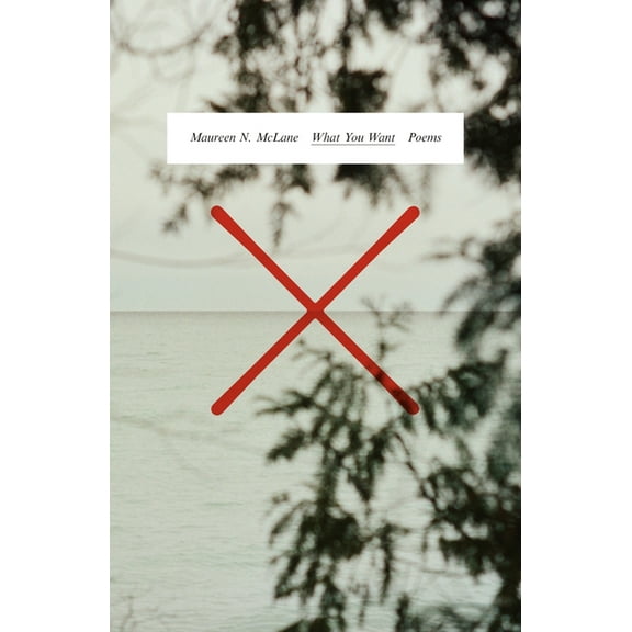 What You Want : Poems (Hardcover)