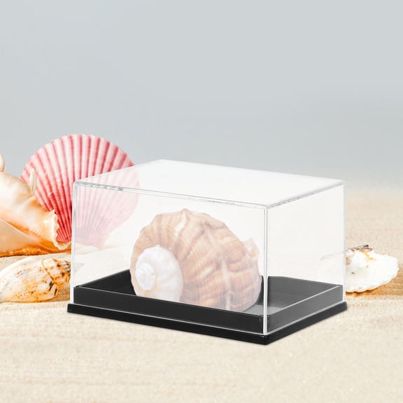 AURARMLET Clear Plastic Display Boxes for Mineral, Rock, and Shell Collections with High Visibility Showcases