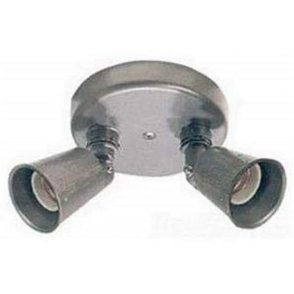 Teddico SVLD-2W Two Lamp Swivel Light