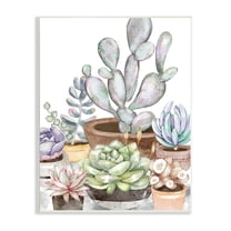 Stupell Industries Potted Succulent Modern Living Room Still life Plants, 13 x 19, Design by Ziwei Li
