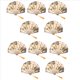 thumbnail image 1 of 10X Tejido de Flores de Peonía de Estilo Clásico Abanico de Abanico de Danza de Bambú Beige, 1 of 5