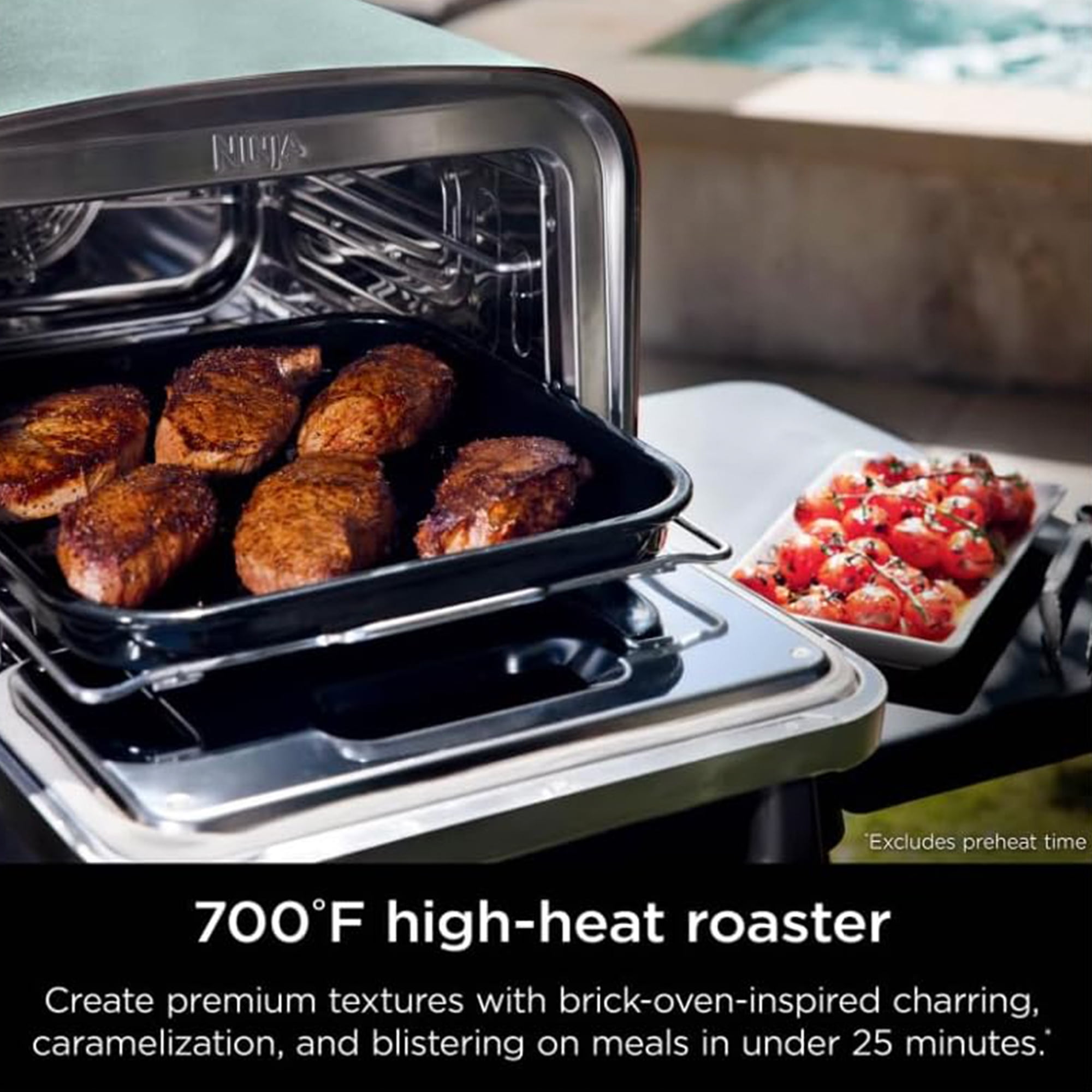 Ninja Woodfire 8-in-1 Outdoor Smoker Pizza Oven with 5 Pizza Settings