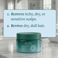 thumbnail image 5 of ALODIA Detox & Restore Moriccan Lava Clay Masque, 5 of 13