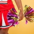 thumbnail image 2 of FESTFENDS High Temperature Membrane and Round Shape Cheer Poms Multi 2Pcs 13X12X12in, 2 of 6