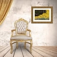 thumbnail image 3 of Crane, Rita 32x23 Gold Ornate Wood Framed with Double Matting Museum Art Print Titled - Garden Glimpse III, 3 of 4