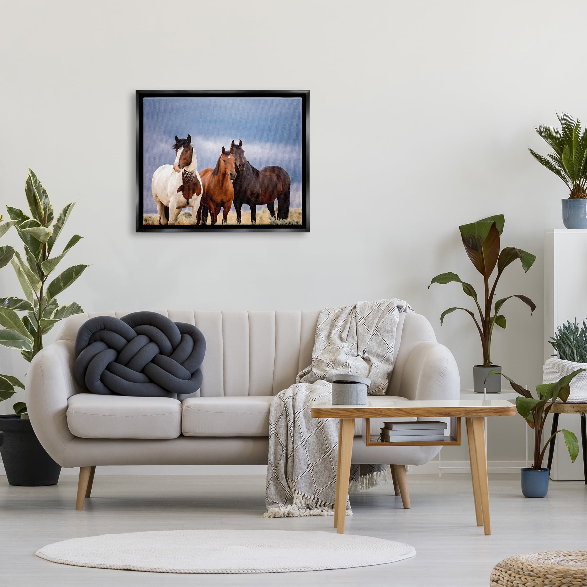 Stupell Industries Horse Trio Under Clouds Animals & Insects Photography Black Floater Framed Canvas Art Print Wall Art, 31 x 25