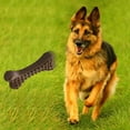 Squeaky The Dog Aggressive Chew For Medium Dogs Puppy Crate Training squeaky-the-dog-aggressive-chew-for-medium-dogs-puppy-crate-training