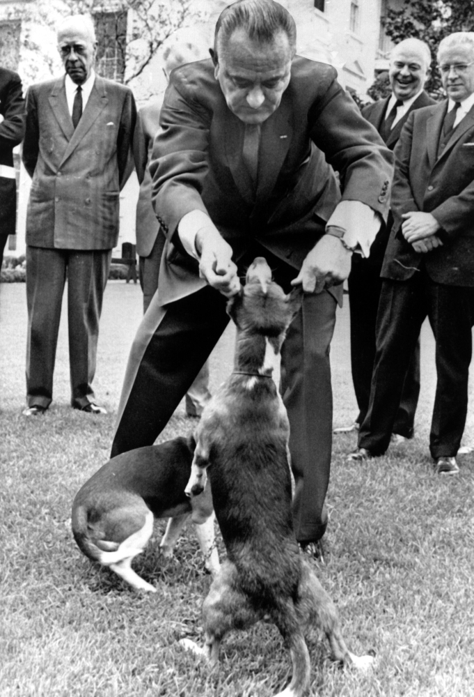President Lyndon Johnson Pulling The Ears Of The White House Beagles