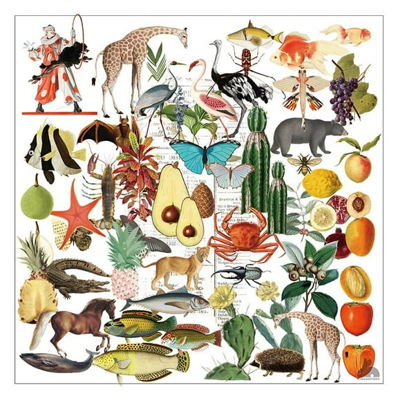 CATaireen Vintage Vellum Stickers Floral Plants Elements Scrapbooking Supplies Flowers Botanic Natural Translucent Paper Self-Adhesive Junk-Journal Items