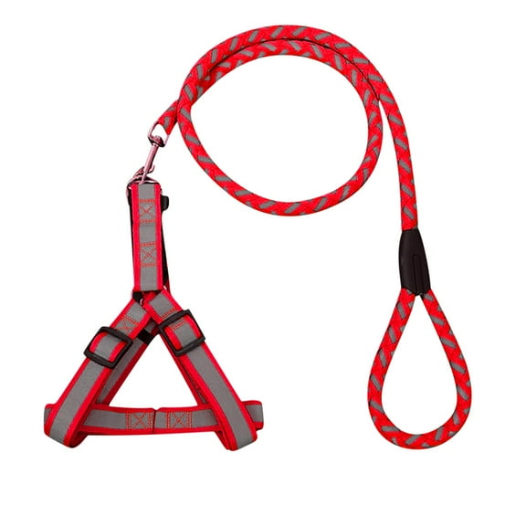 kladzum Pet Dog Collar Traction Rope High Quality Outdoor Anti-Lost Nylon Ropes Training Collar, Slip Lead Dog Strong Heavy Duty Dog Rope Leash Braided Comfortable Handle for Small Medium Large Dogs