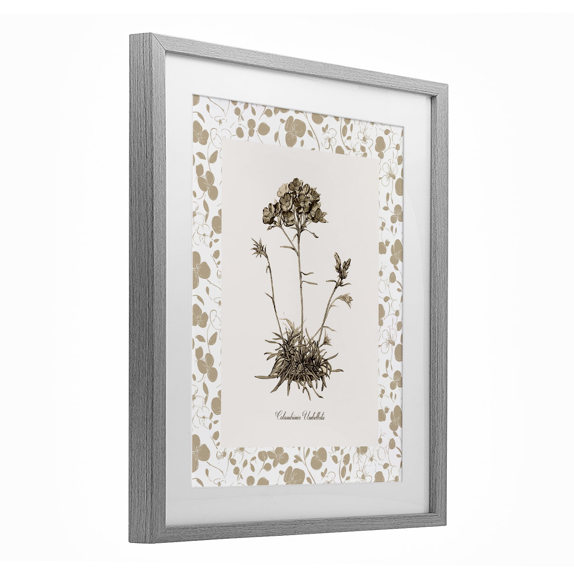 Stupell Industries Neutral Imperial Flower & Herb Gray Framed Print Under Glass, design by Kelly Donovan