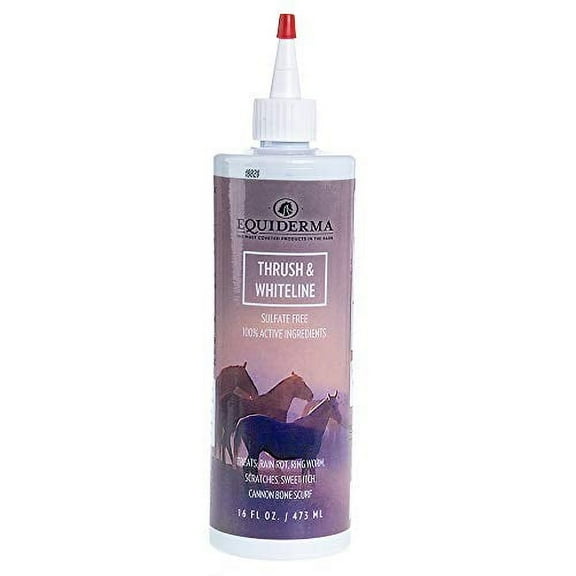 Equiderma Thrush Whiteline Treatment 16oz.