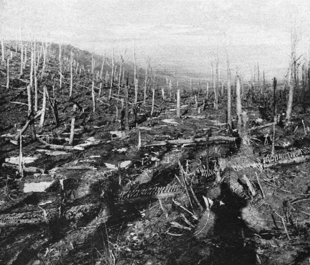 verdun battle verdun battle