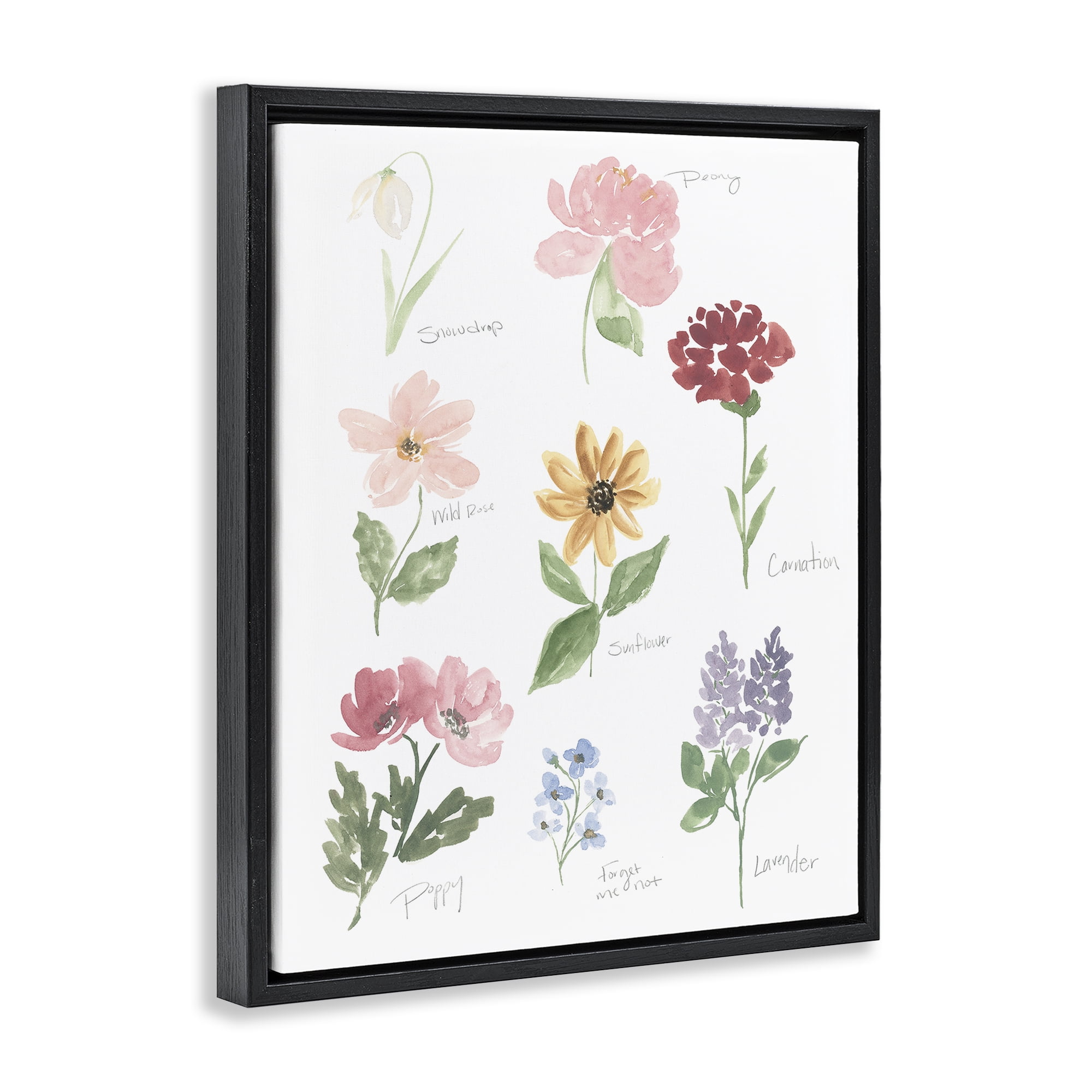 Stupell Industries Labeled Flower Varieties Black Framed Floater Canvas Wall Art, design by Lucille Price