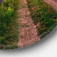 thumbnail image 3 of Designart 'Lavender Field At Sunrise II' Farmhouse Circle Metal Wall Art 29x29 - Disc of 29, 3 of 5