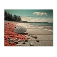 thumbnail image 3 of Designart "Beach Seashell Euphony" Nautical & Beach Print on Natural Pine Wood, 3 of 5