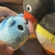 thumbnail image 5 of Plush Doll Cute Penguin Tabletop Ornament Plush Doll Toy Figurine, 5 of 5