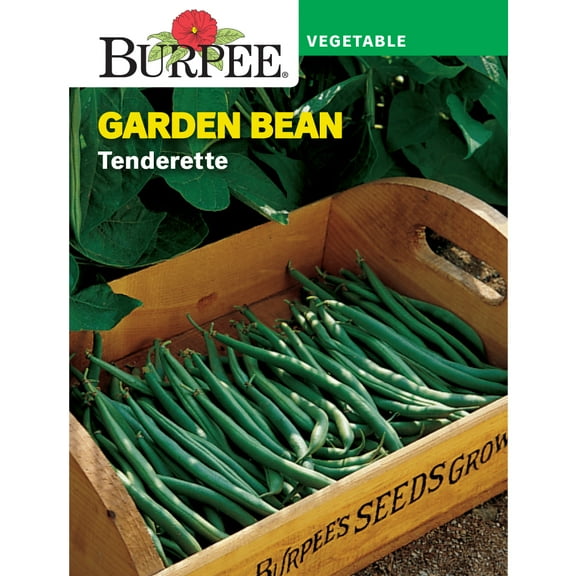 Burpee Tenderette Garden Bean Vegetable Seed, 1-Pack