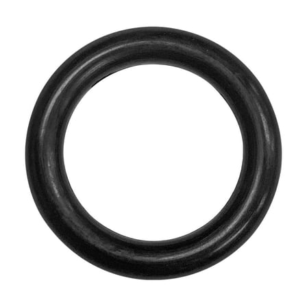 Pentair (471550) Replacement O-Ring || O-315