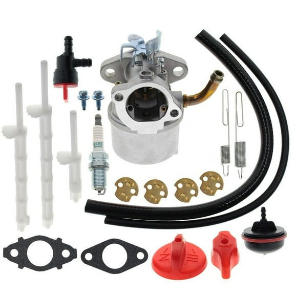 594014 Carburetor for Briggs & Stratton Snowthrower 590907 798918 794588 Carb