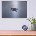 thumbnail image 4 of Luxe Metal Art 'Bald Eagle Soas' by Epic Portfolio, Metal Wall Art, 16"x12", 4 of 9