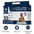 thumbnail image 2 of Almohadillas de entrenamiento para cachorros American Kennel Club, 50 unidades, color lavanda, 2 of 8