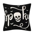 thumbnail image 1 of CNKOO Decorations Pillow Case Throw Pillows Cover Spider Web Cat Skull Pillow Case Decorative Cushion Case, 1 of 5