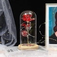 thumbnail image 1 of Eternal Roses Beauty And Animal Rose Kit In Glass Dome Led Lights Artificial Flowers Rose Gifts For Women Mum Gift, 1 of 5